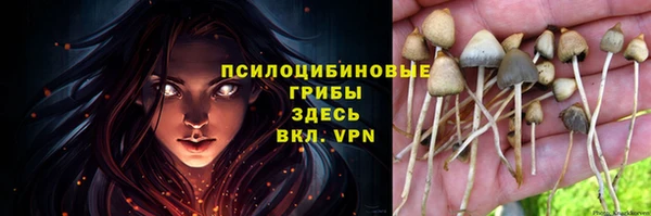 дмт Верхний Тагил