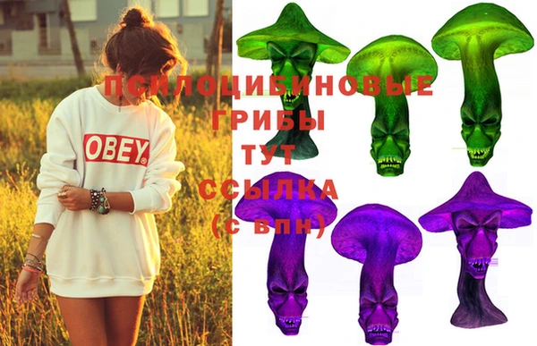 индика Верея
