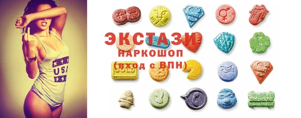 индика Верея