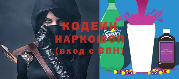 индика Верея