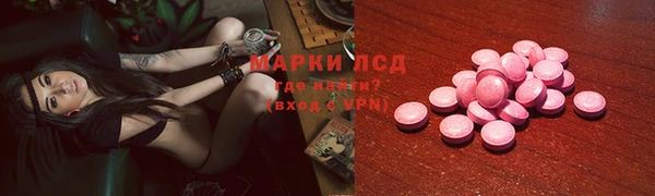 индика Верея