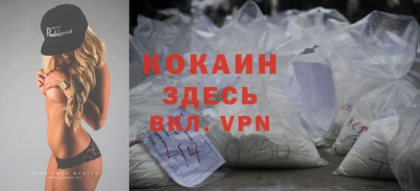 индика Верея