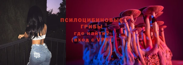 индика Верея