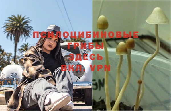 дмт Верхний Тагил