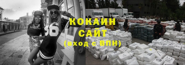 индика Верея