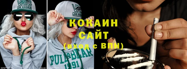 индика Верея