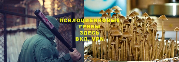 дмт Верхний Тагил
