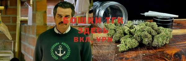 индика Верея