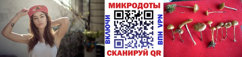 Галлюциногенные грибы MAGIC MUSHROOMS  kraken ССЫЛКА  Макарьев  дарнет шоп 